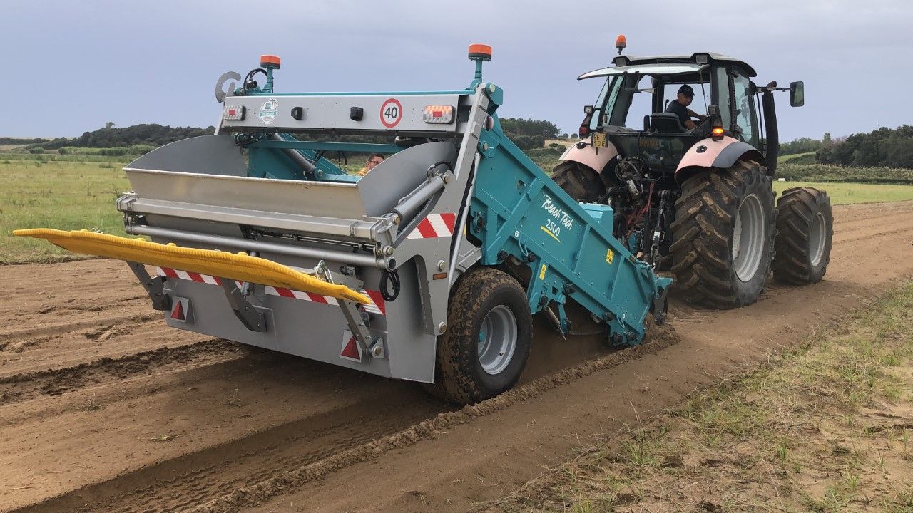 A BeachTech 2500 removes stones, weeds and roots from a carrot field.
