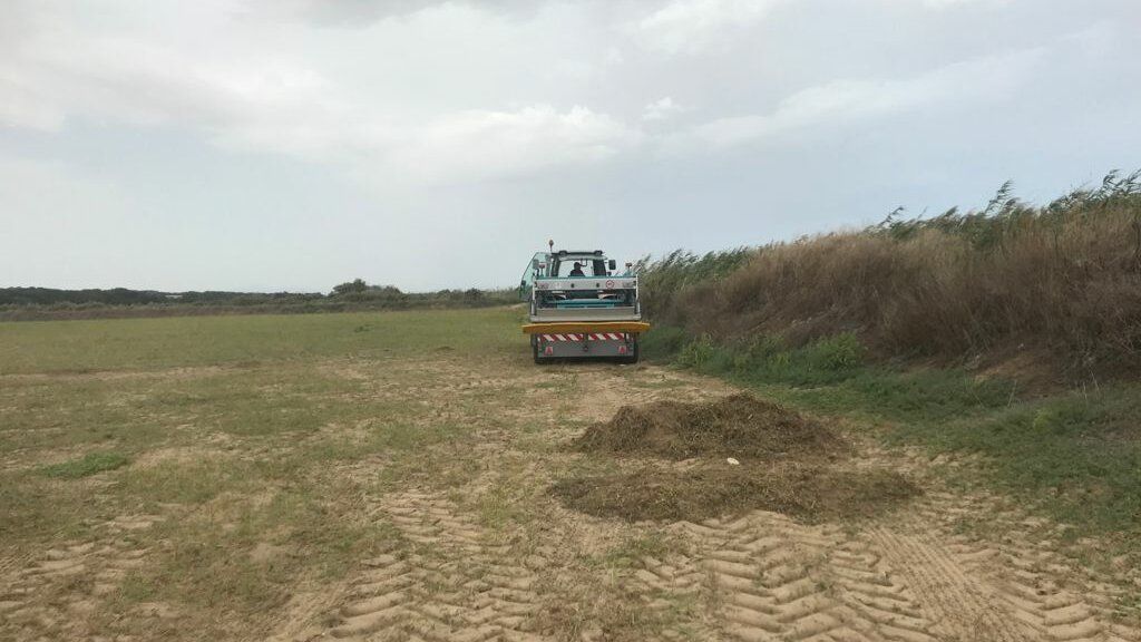Removal of vegetation by BeachTech may eliminate the use of pesticides prior to seeding.